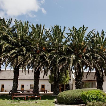 Springfontein Wine Estate Hotell Stanford Eksteriør bilde