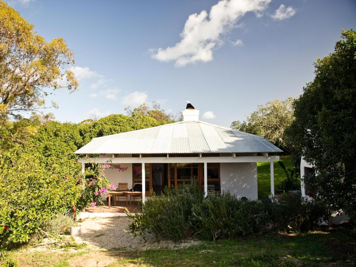 Springfontein Wine Estate Hotell Stanford Rom bilde