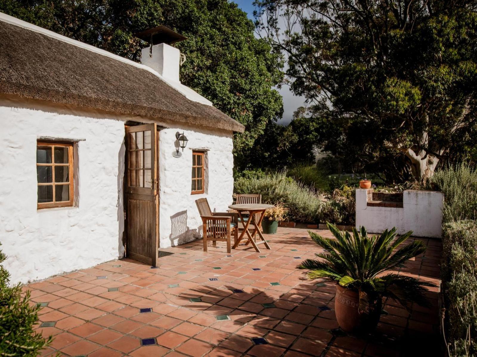 Springfontein Wine Estate Hotell Stanford Eksteriør bilde