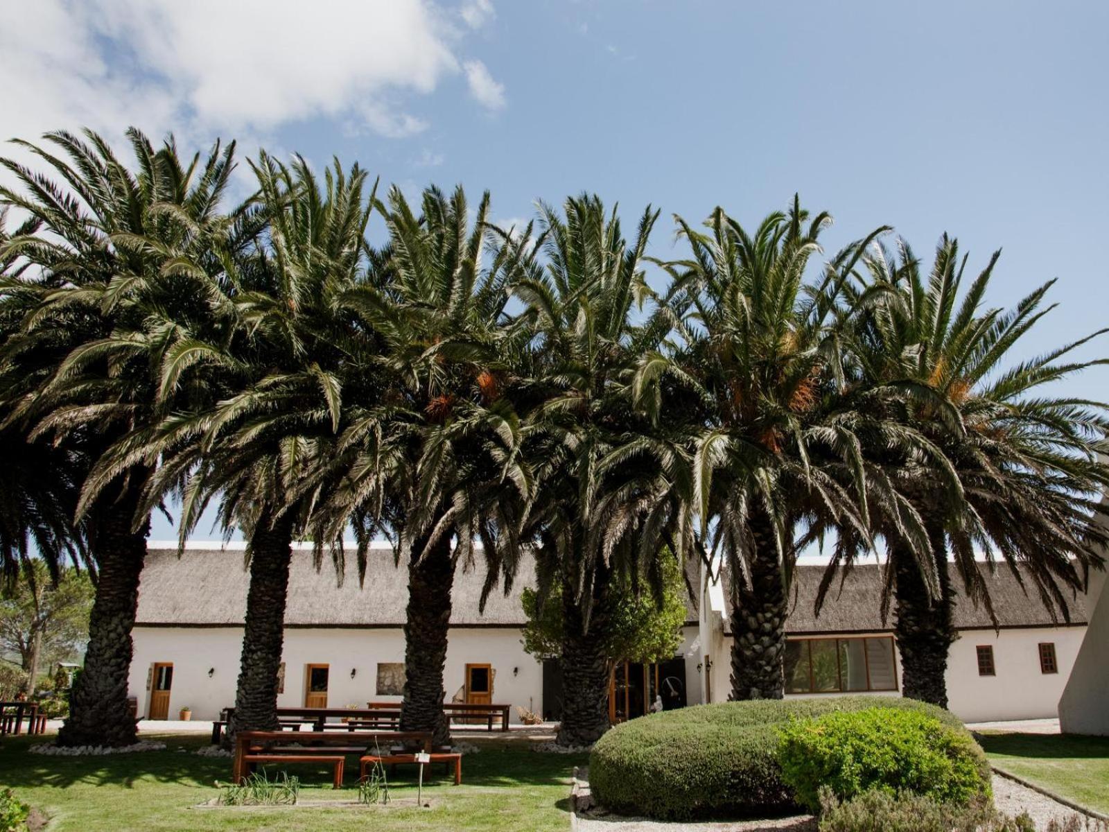 Springfontein Wine Estate Hotell Stanford Eksteriør bilde