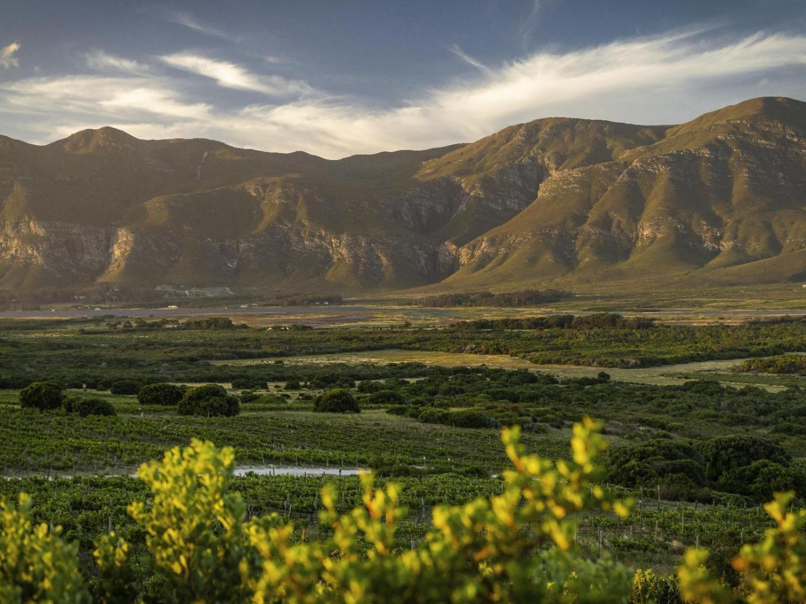 Springfontein Wine Estate Hotell Stanford Eksteriør bilde