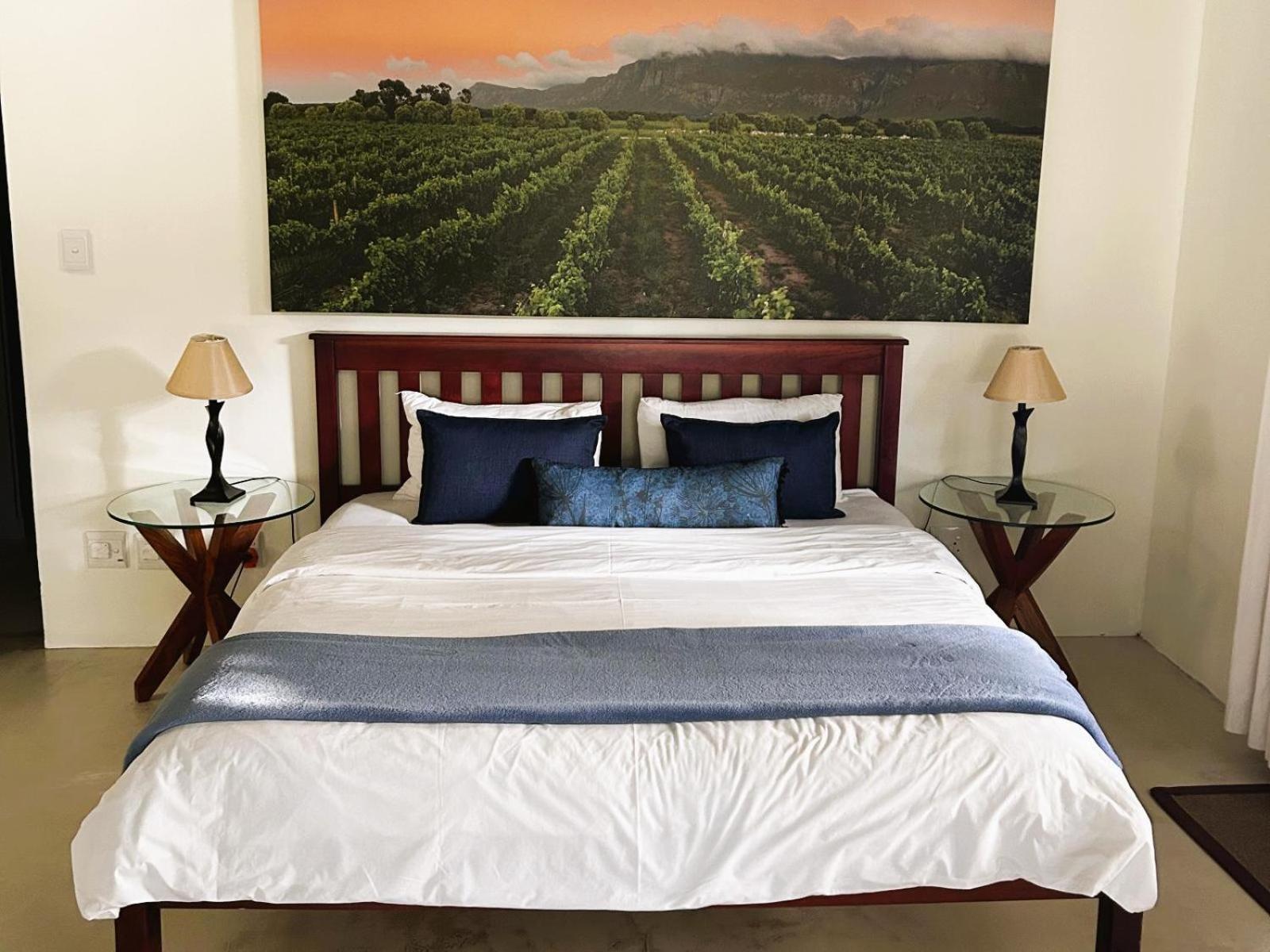 Springfontein Wine Estate Hotell Stanford Rom bilde