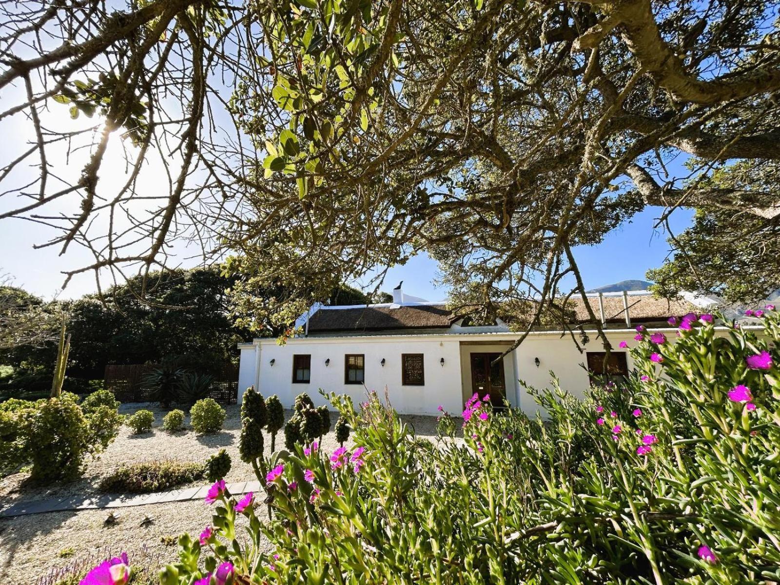 Springfontein Wine Estate Hotell Stanford Eksteriør bilde