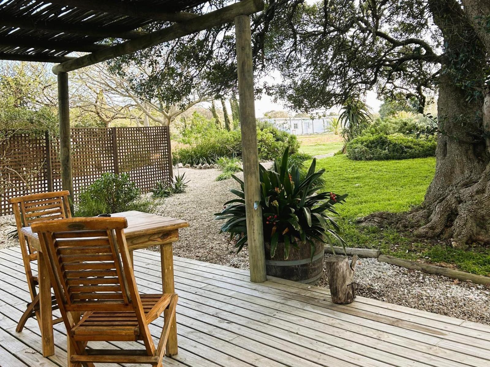Springfontein Wine Estate Hotell Stanford Rom bilde